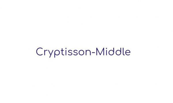 Обзор хайпа Cryptisson-middle — правдивые отзывы вкладчиков