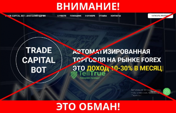 Trade Capital Bot – отзывы
