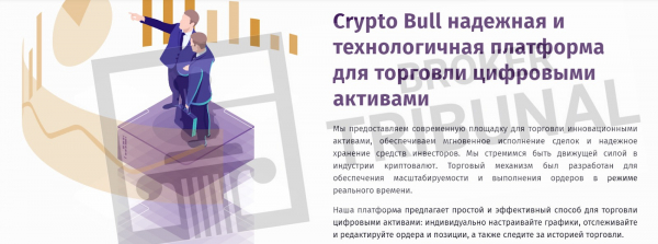 Crypto Bull — многоликий лохотрон