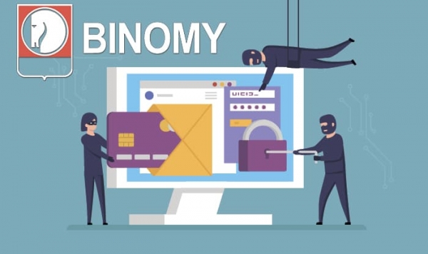 Отзыв о Binomy Net