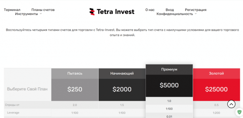TETRA-INVEST – очередная лживая инвестиционная компания. Проект платит?