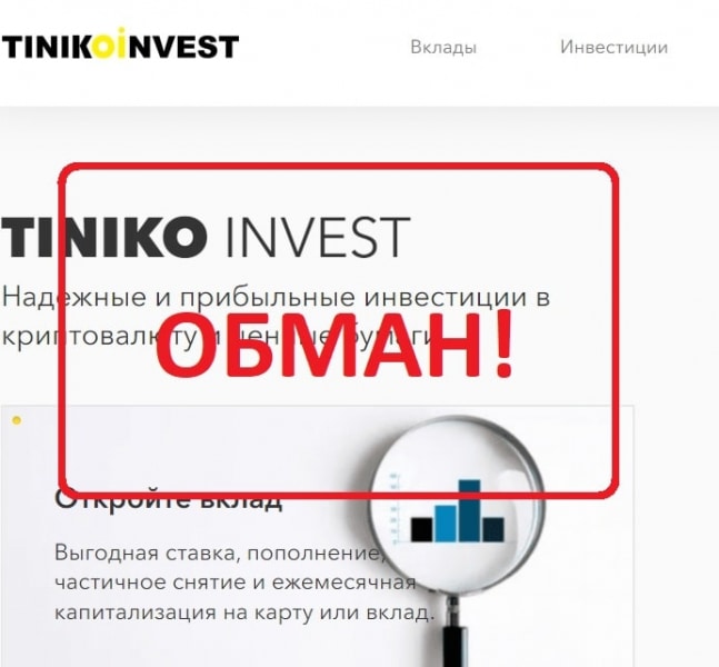 Отзывы и обзор Tiniko Invest — пирамида tiniko.io - Seoseed.ru