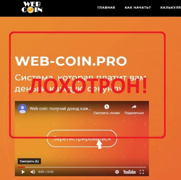 WEB-COIN и RUB-COIN — отзывы - Seoseed.ru