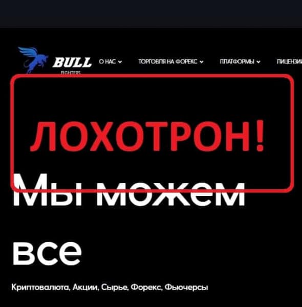 Bull Fighters — отзывы клиентов о bullfighters.uk - Seoseed.ru