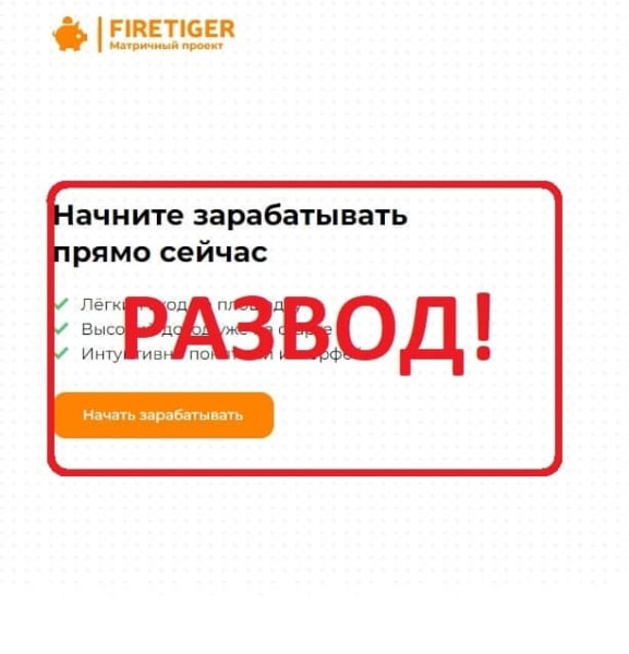 Проект FireTiger — отзывы клиентов о firetiger.shop - Seoseed.ru