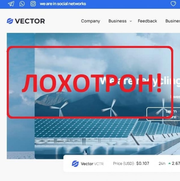 Компания Vector — отзывы клиентов и обзор vctr-green.com - Seoseed.ru