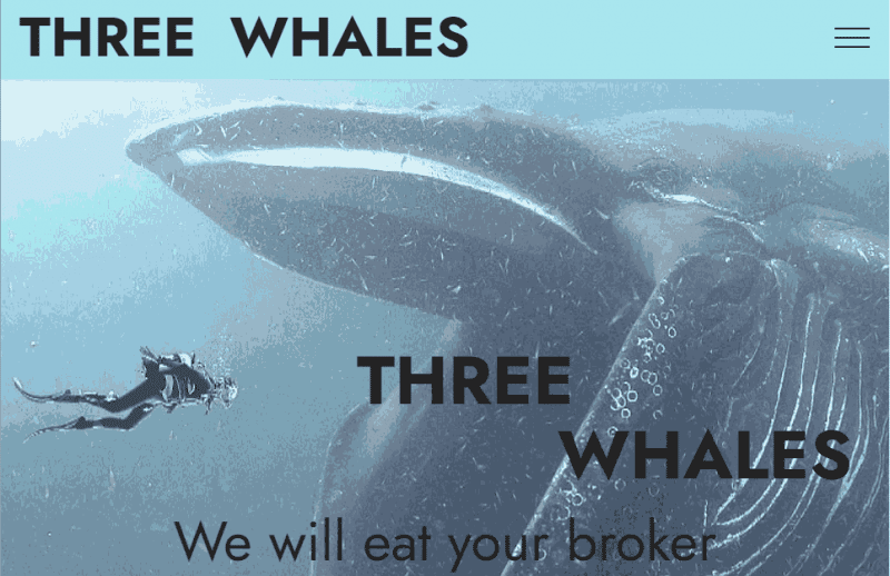 Three Whales (3-whales.com) липовые юристы!