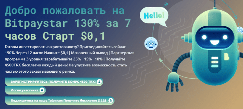 Полный обзор Bitpaystar