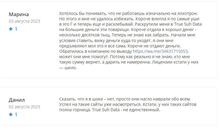 TrueSUH Data — что за проект? Реальные отзывы инвесторов