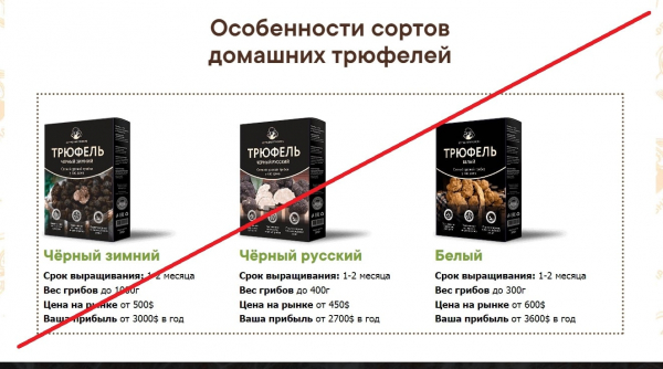 Домашний трюфель – сомнительная покупка. Отзывы о truffel.biogard-sad.ru