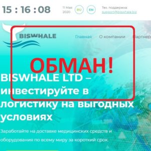 Biswhale: отзывы и обзор хайпа biswhale.biz. Мошенничество?